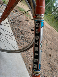 lot 49 image: HOSTELER 10 SPEED BIKE