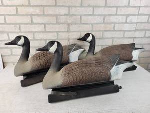lot 301 image: (3) Flambeau Canadian Goose Decoys - NO SHIPPING