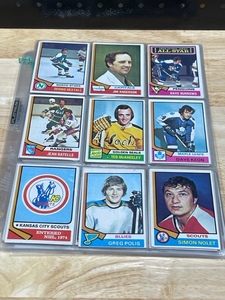 NHL Hockey 1973-74 Season Stat Cards, 46 Cards