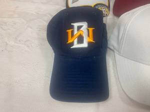 lot 39 image: College Hats and Visor