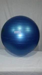 lot 289 image: Resist-A-Ball Exercise Ball.