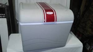 lot 317 image: Koolatron Cooler.