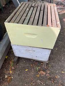 lot 77 image: Bee Boxes