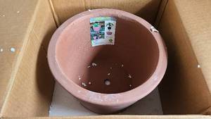 lot 77 image: NEW Planter Pot
