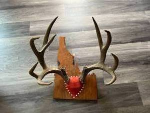 Antlers
