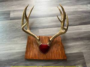 Antlers