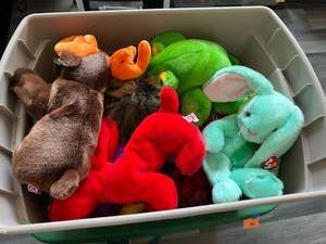 Tote Full of Beanie Buddies - 21