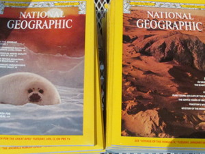 lot 151 image: National Geographic