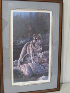 NightFall - Timber Wolf by Daniel Bush Print 1780