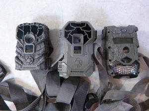 lot 46 image: 3 Trail Cameras
