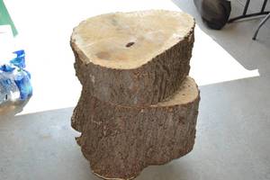 lot 52 image: Cottonwood trunk sections, very heavy, great for woodworking, firewood, chainsaw carving, furniture making, etc. Cottonwood has excellent grain patterns