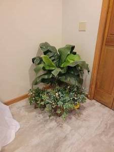 lot 150 image: Faux Silk Plant Collection