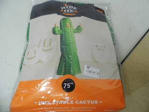 Inflatable Cactus