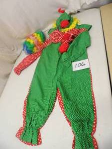 Homemade Clown Costume