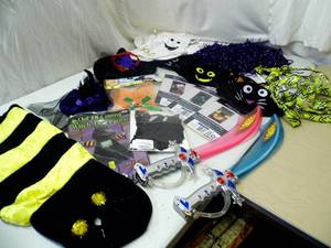 Pet Costumes