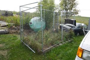 lot 253 image: 12 x 12 Chain Link Dog Kennel