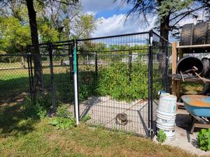 lot 9 image: Master Paws Dog Kennel