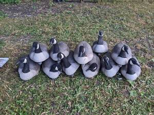 lot 220 image: (11) GHG Goose Decoys - Life Size