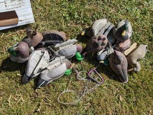 lot 222 image: (13) Mallard Decoys on Tethers - Various Brands