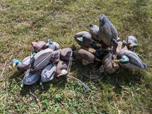 lot 223 image: (22) Mallard Decoys on Tethers - Various Brands