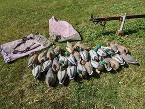 lot 224 image: (28) Mallard Decoys with (2) Bags - Various Brands