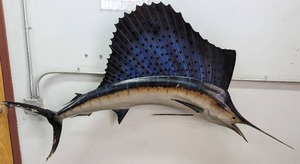 lot 4 image: Decorative Marlin