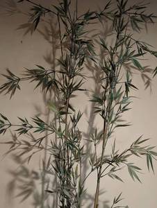 lot 318 image: Potted Faux Bamboo Plant