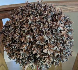 lot 409 image: Potted Pinecone Topiary Arrangement