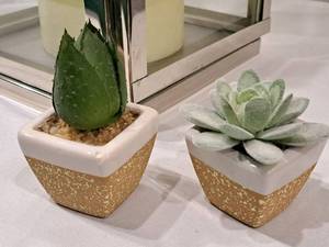 lot 200 image: Lot of (2) Cactus theme Home Dcor