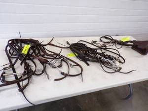 Horse Tack