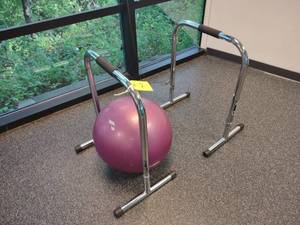 Lebert Fitness Equalizer Bars with ...