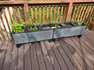 (2) Planters, 39...
