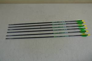 lot 29 image: 6 Allen Kryptos Carbon Arrows