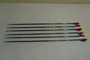 lot 31 image: 6 Cabelas Carbon Stalker X-Treme 340 Arrows