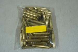 lot 101 image: 50 Empty 30-06 Sprg Remington Casings