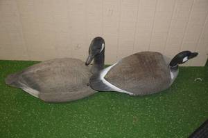 lot 181 image: 2 Canadian Goose Floating Decoys