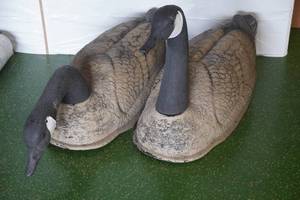 lot 182 image: 2 Canadian Goose Decoys