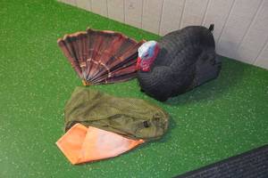 lot 183 image: Turkey Decoy