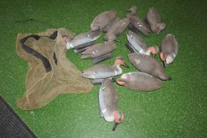 lot 184 image: 12 Floating Duck Decoys