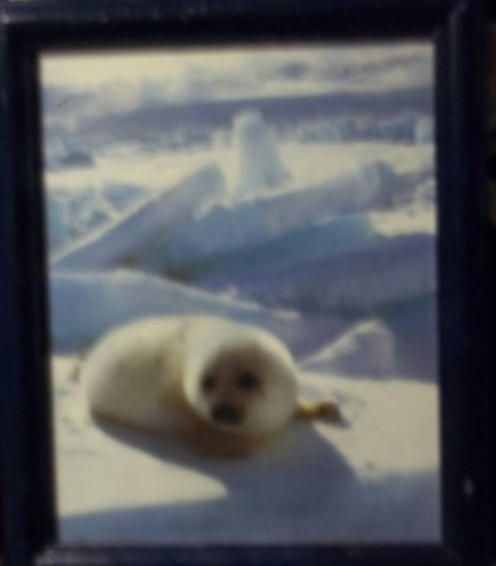lot 29 image: Prints of seals