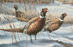 lot 65 image: Outback Limited Edition Signed Print by James Meger
