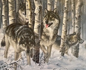 lot 99 image: Forest Wolves Framed Print by Larry Fanning