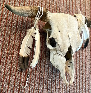 lot 21 image: Bull Skull Decorative Wall Hanging