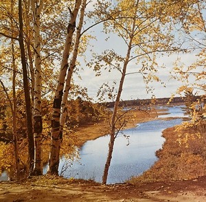 lot 200 image: Autumn In The North Country Unframed Print