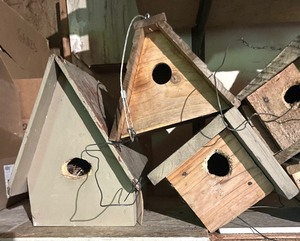 lot 231 image: Seven Sensational Bird Houses