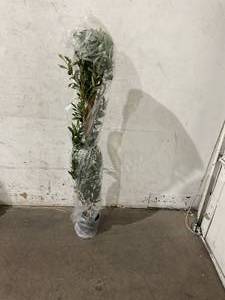 lot 190 image: Kazeila 6.8 ft Artificial Olive Tree