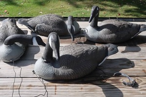 lot 4 image: 4 VERY LARGE GOOSE DECOYS WITH WEIGHTS
