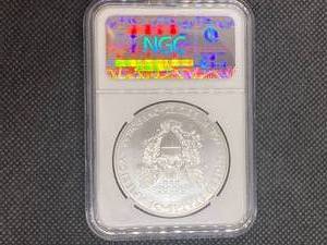2011- W 25th Anniv.  American Silver Eagle NGC MS69 Early Releases