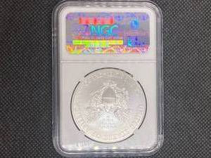 2013-W American Silver Eagle NGC MS69 Early Releases