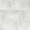 Daltile Kemperstone Onyx Gray Polished 12 in. x 24 in. Glazed Porcelain Floor and Wall Tile (410 sq. ft.)